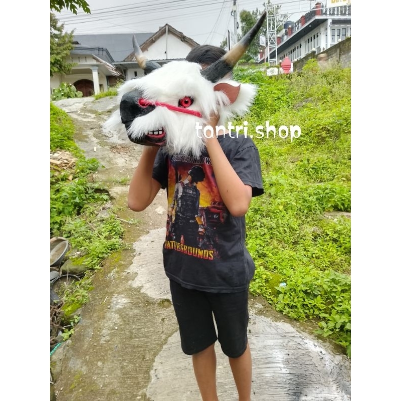 BANTENGAN BULU PUTIH - BANTENGAN - BANTENG IMUTAN 1 Kil - BANTENGAN - BANTENGAN MURAH