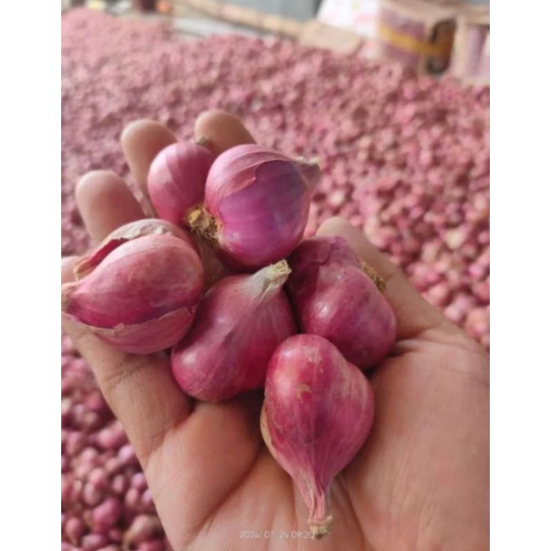 

1kg BAWANG MERAH SUPER