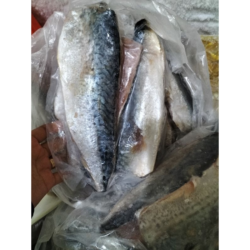 

fillet makarel