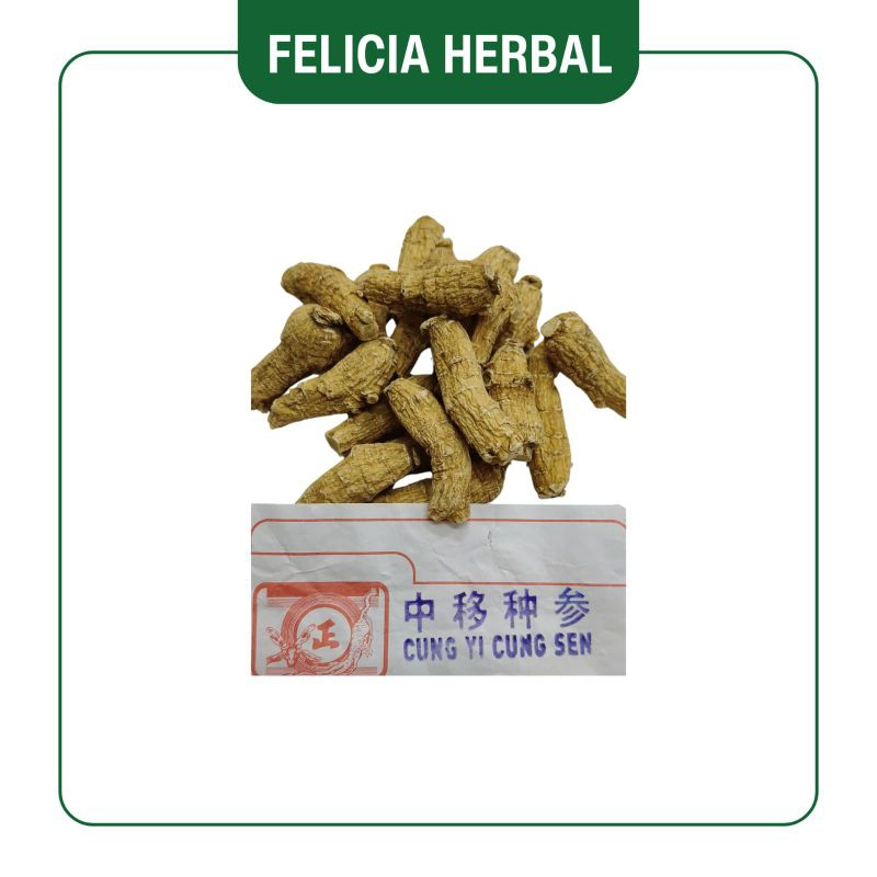 

Ginseng Amerika (Sedang) Utuh/中移种参条