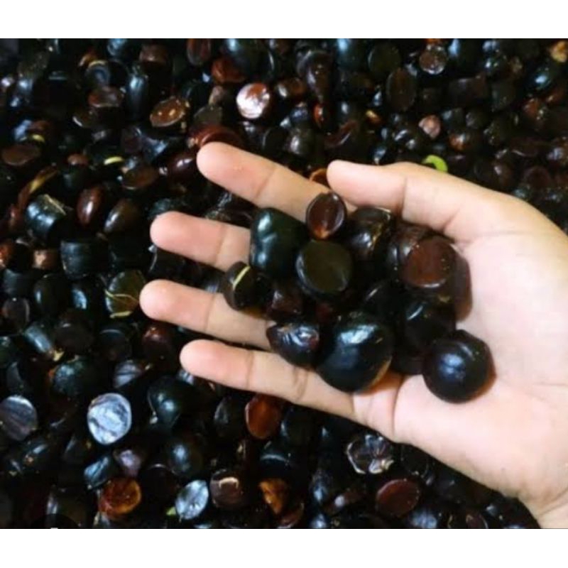 

kabau kemasan 1 kg