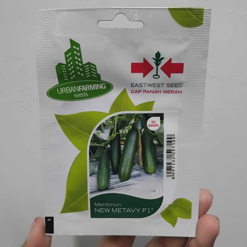 Benih Bibit Timun Ketimun Mentimun Metavy F1 Biji Hibrida Panah Merah