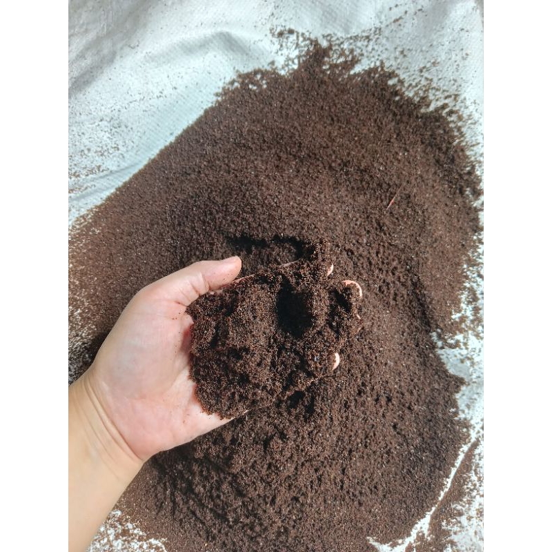 KOTORAN BURUNG WALET 100% MURNI 1 KG / PUPUK KOTORAN BURUNG WALET DIJAMIN 100% ORIGINAL / KOTORAN BU