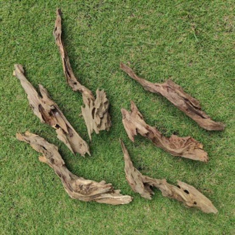 HIASAN AQUARIUM KAYU RENTEK SIZE XL