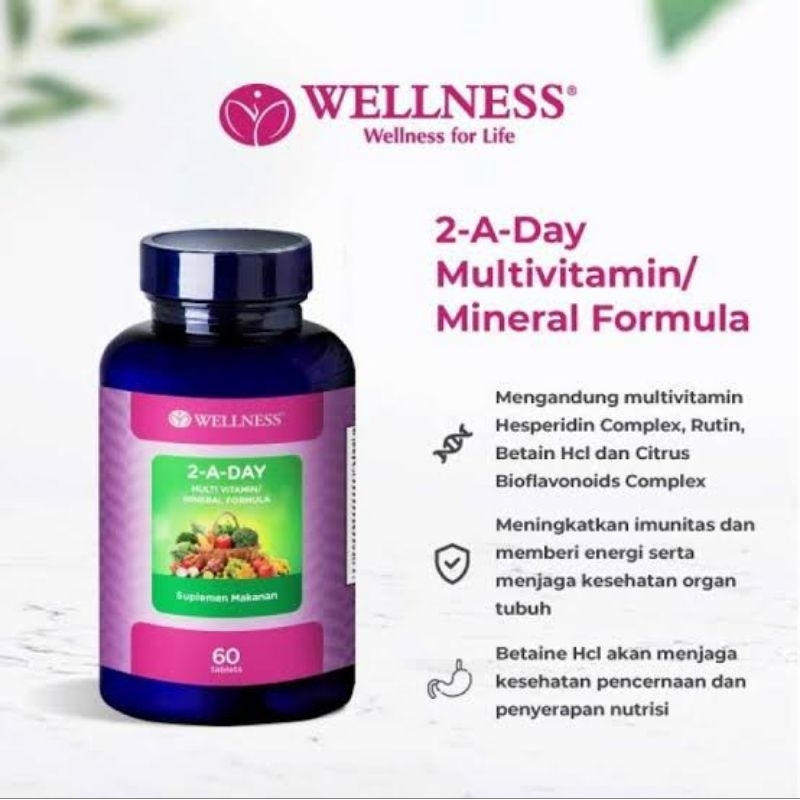 Wellness Multivitamin/Mineral 2-A-Day