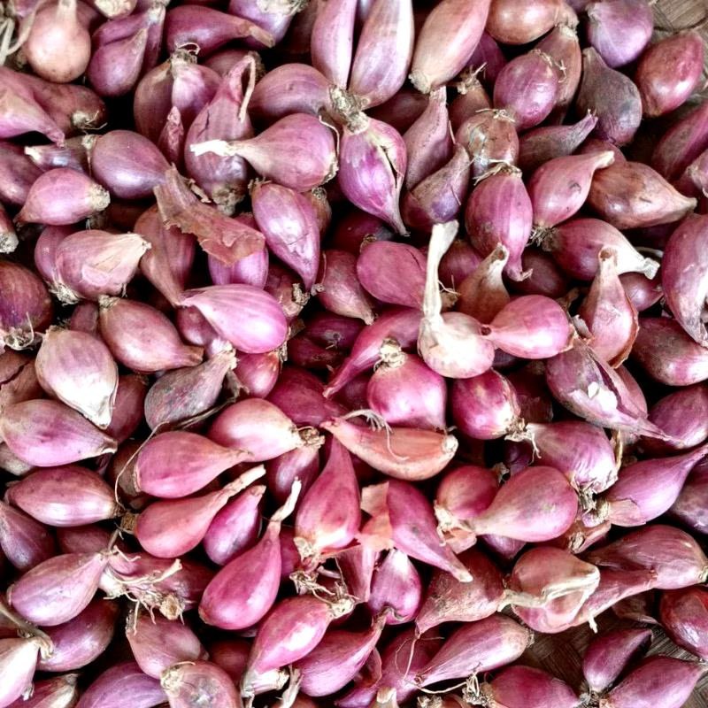 

bawang merah ukuran kecil/lembut/ulekan 1kg