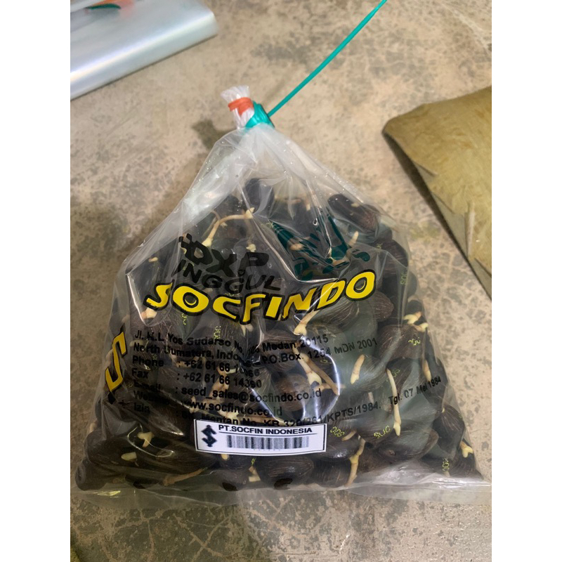 

SOCFINDO