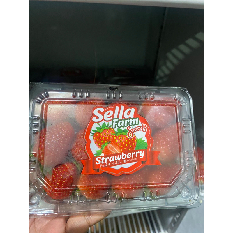 

Strawberry Segar Sella