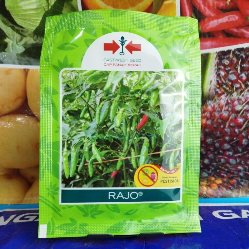 BENIH CABAI RAJO RAWIT HIJAU ISI 2250 BUTIR CAP PANAH MERAH