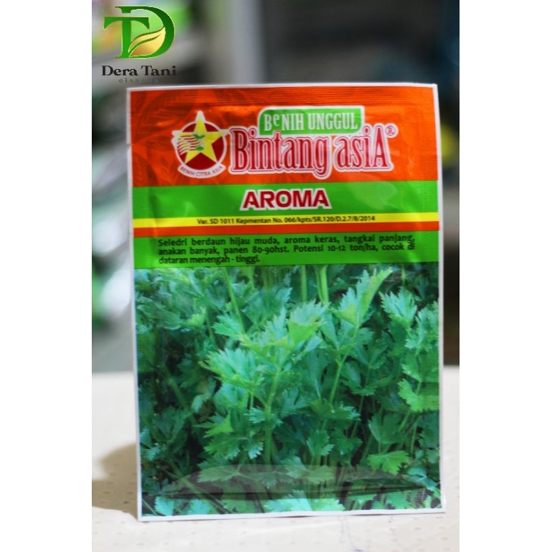 Benih Seledri Aroma Bintang Asia