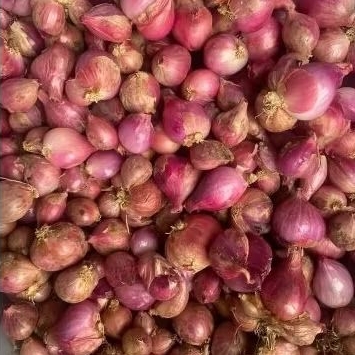 

BAWANG MERAH 1kg