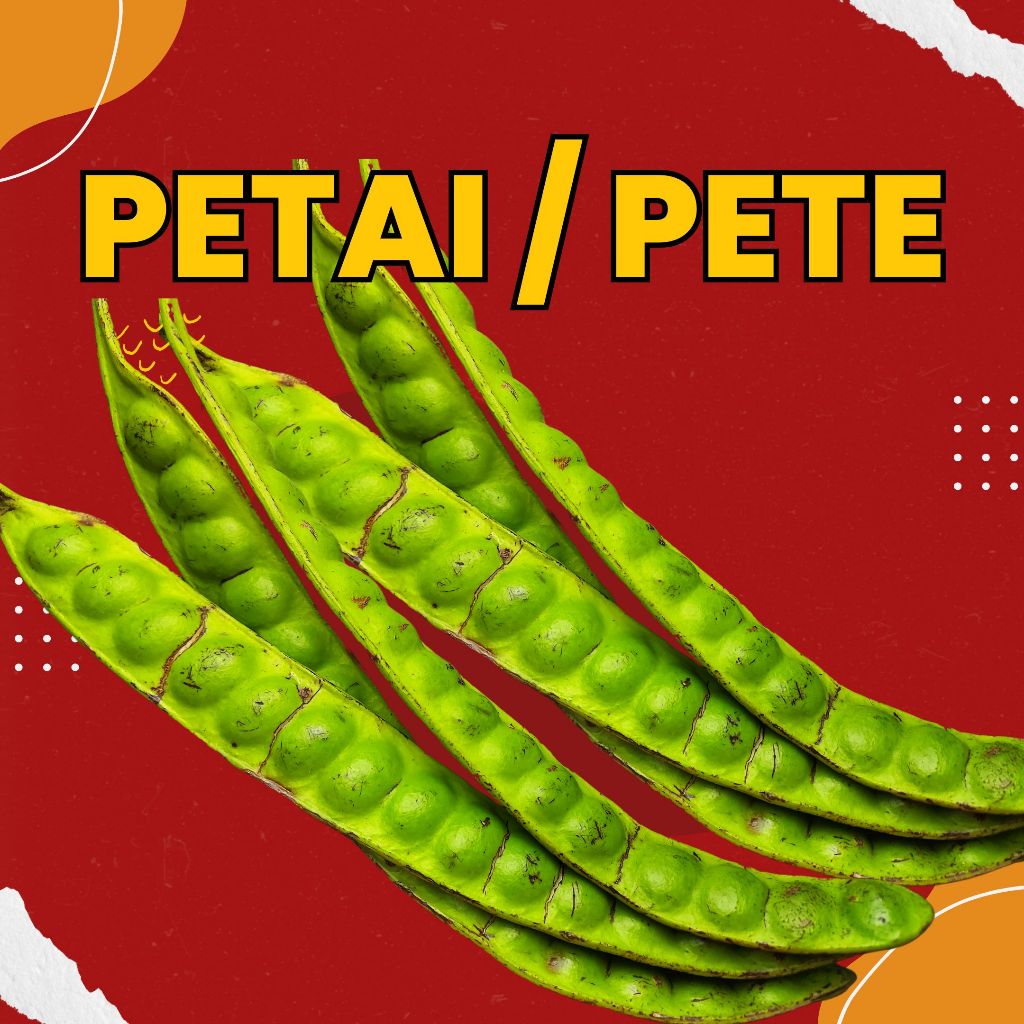 

PETE SATU IKAT / PETAI SATU IKAT