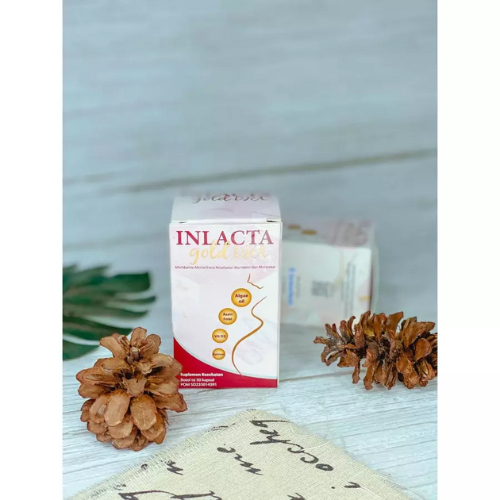 Inlacta dha Ibu Hamil , Inlacta Dha , Inlacta Gold dha , Inlacta Gold Dha , Inlacyta Dha Gold , Inla