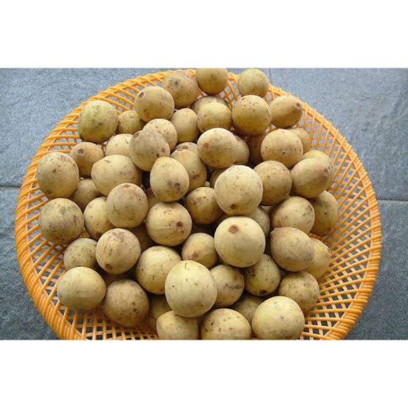 

Duku kalimantan manis 1kg/ duku kalimantan madu 1kg