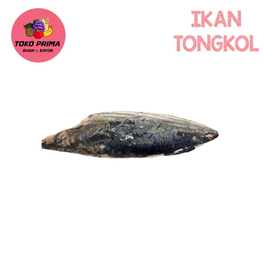 

Ikan Cuek Tongkol Per pcs