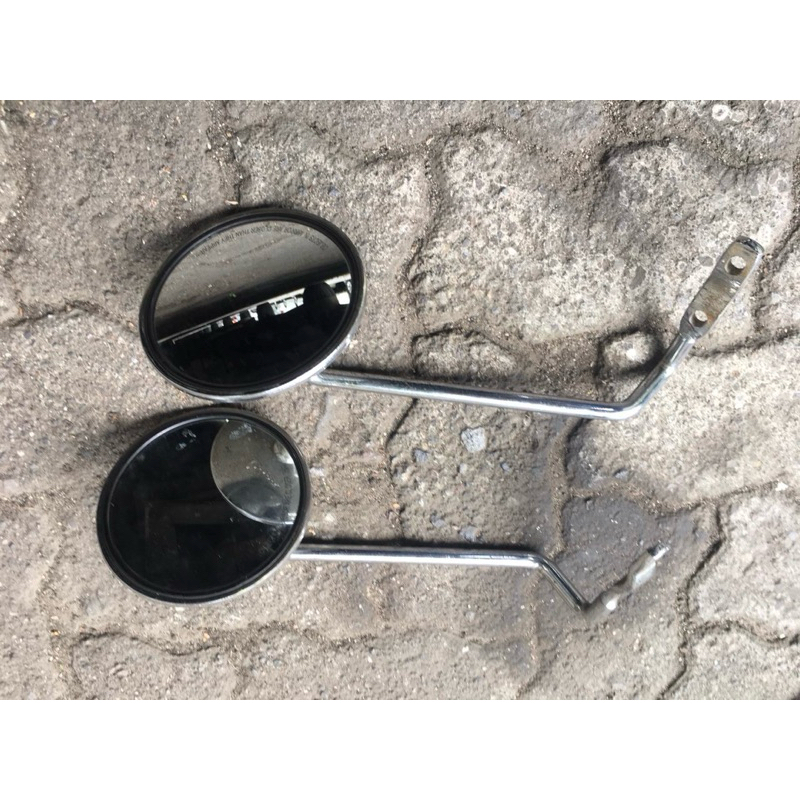 spion vespa batang langsung