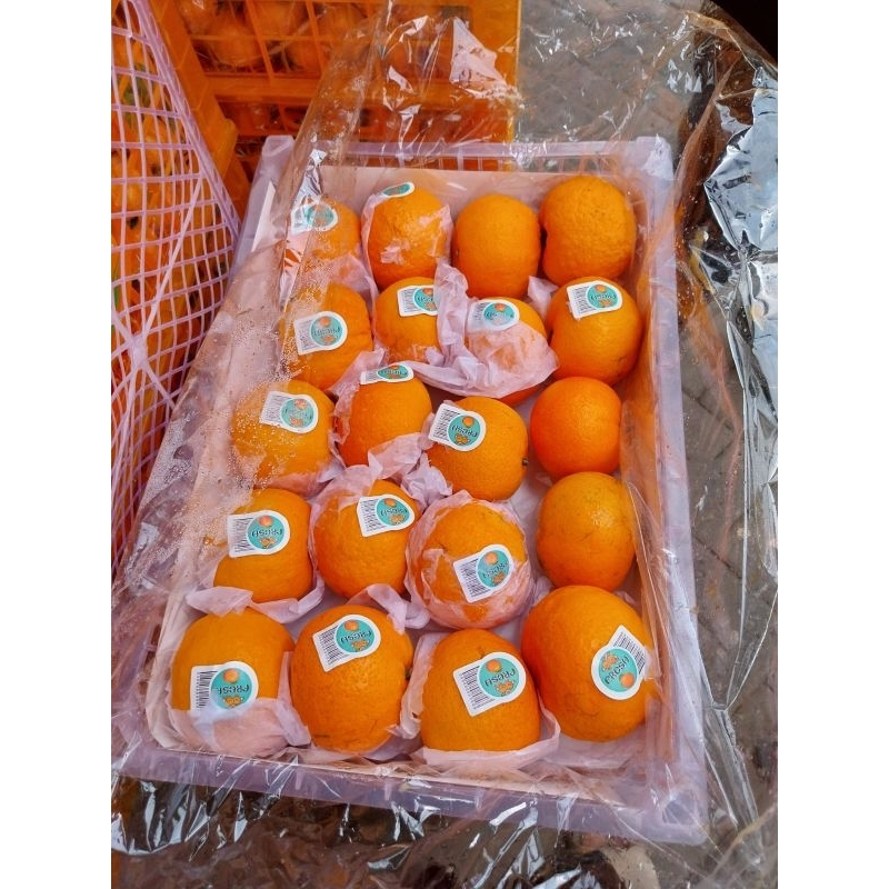 

JERUK MANDARIN WOGAN/keranjang