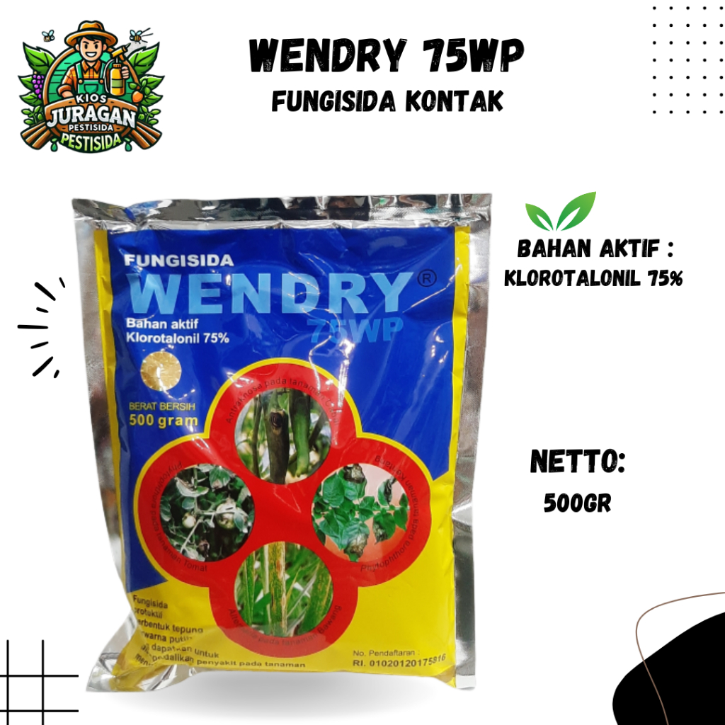 WENDRY 75WP 500GR FUNGISIDA klorotalonil