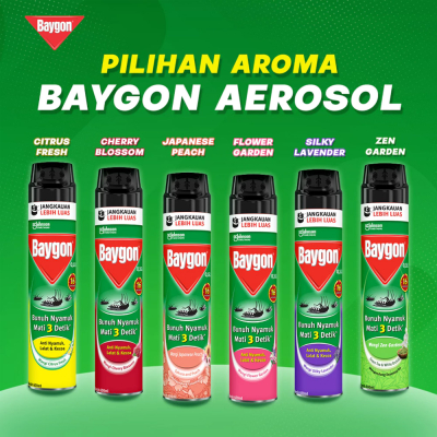 Baygon 600ml + 75ml / Pembunuh Nyamuk & Serangga / Pembunuh Serangga Murah