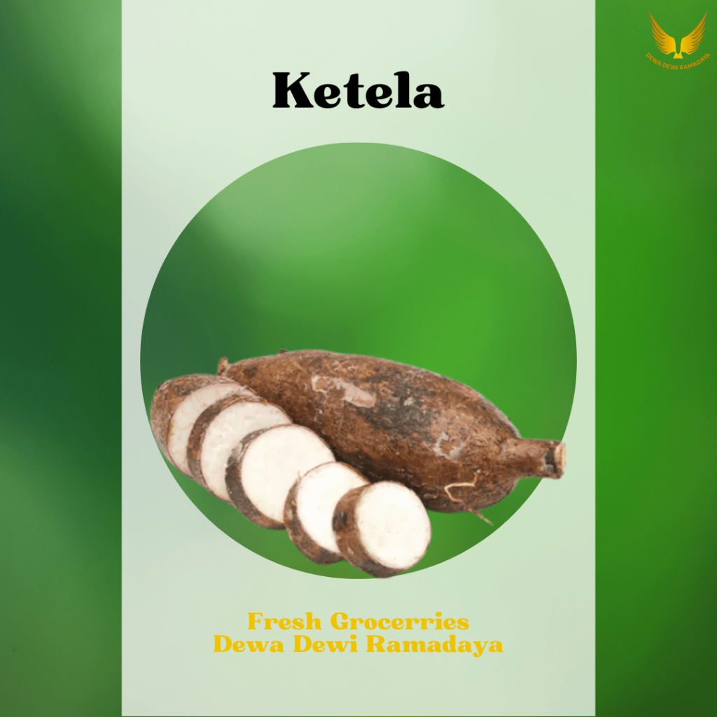 

Ketela Dewa Dewi Rama Daya