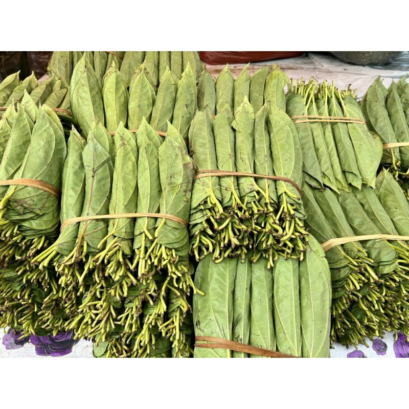 Daun Sirih Medan Sirih Tiga Binangan Sirih Tanah Karo 1 Pedi/5 Baris