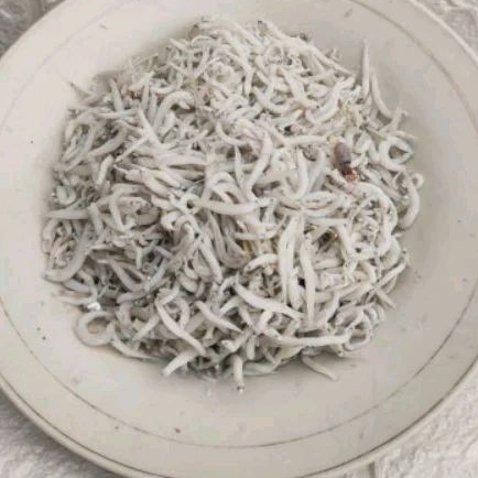 

Teri Nasi