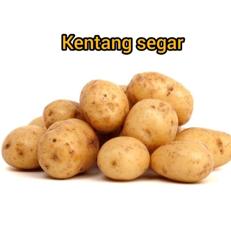 

KENTANG UKURAN SEDANG 1KG MURAH
