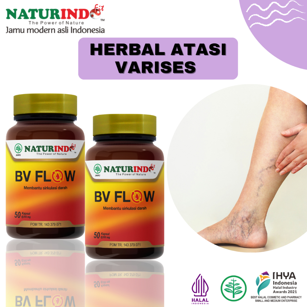 Herbal Memperlancar Peredaran Darah BV FLOW Original Naturindo