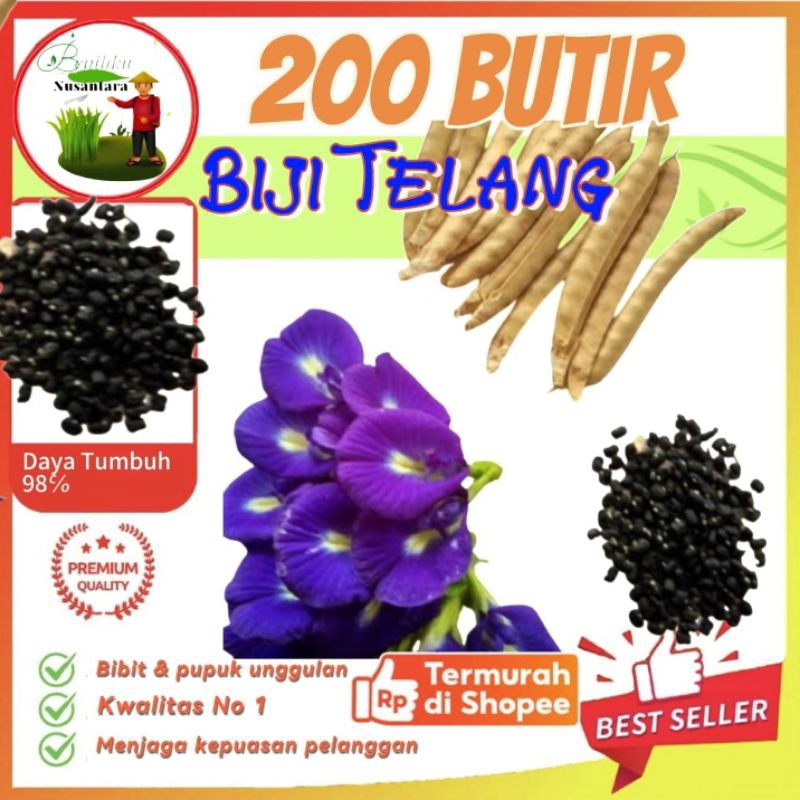 

Biji Bunga Telang 200 Butir kualitas SUPER