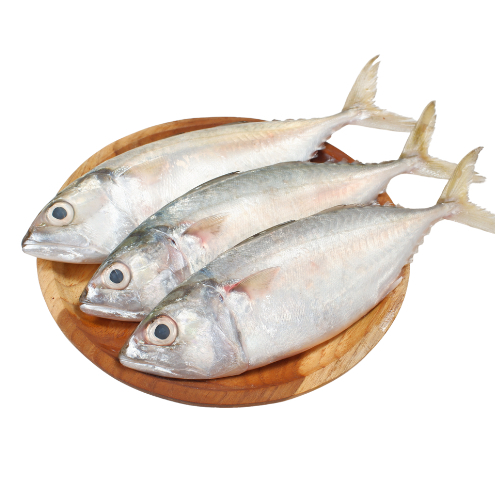 

ikan kembung segar 500 gram