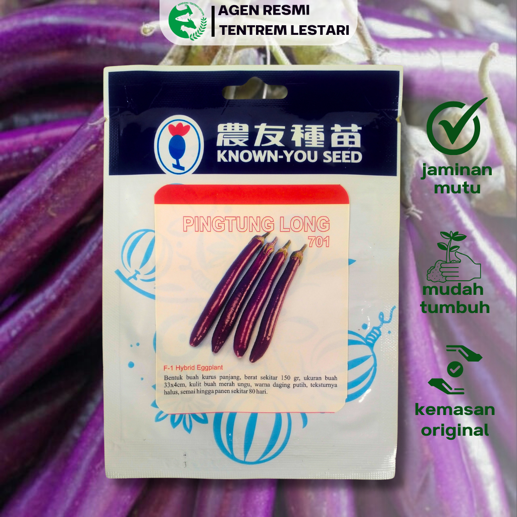 Benih Terong F1 Hibrida PINGTUNG LONG 10 gram Known You Seed  Buah Lebat & Tekstur Halus