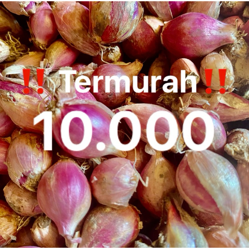

Bawang Merah 1 kg Termurah