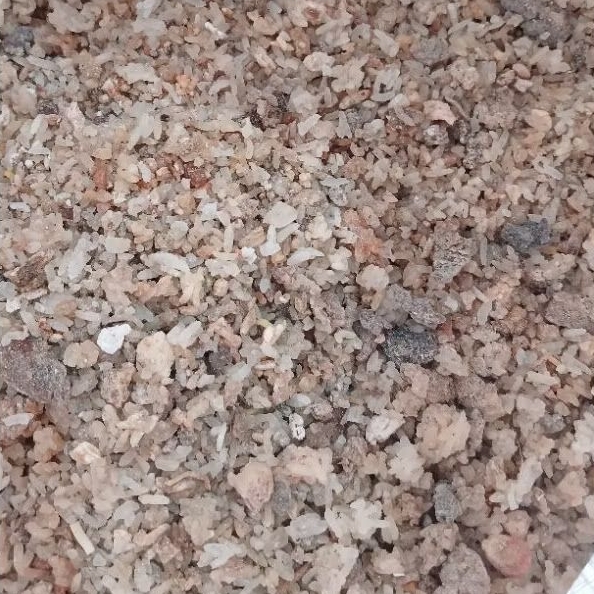 

Karak / Nasi aking / Nasi kerak / Nasi kering untuk pakan ternak 1 kg
