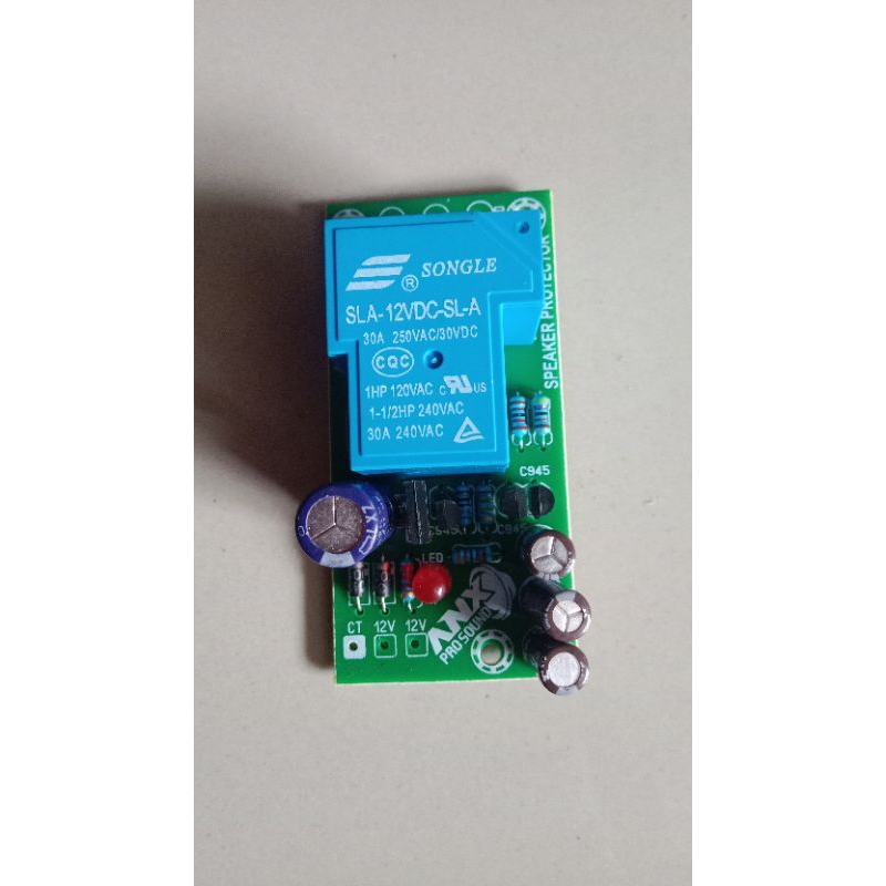 speaker protektor mono