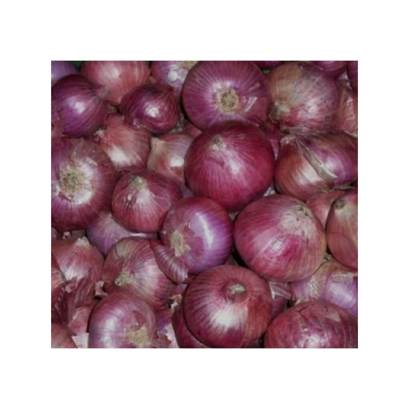 

Bawang Merah JUMBO kuakitas super