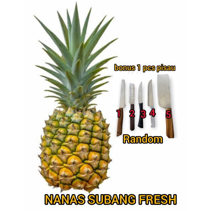 

nanas madu fresh satuan Grade A + supermarket ⭐⭐⭐⭐⭐