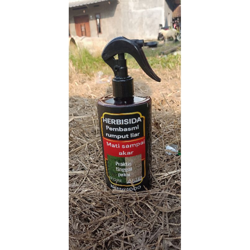 OBAT CAIRAN SEMPROT PEMBASMI RUMPUT LIAR & GULMA 250ml | Herbisida | RUMPUT MATI SAMPAI AKAR