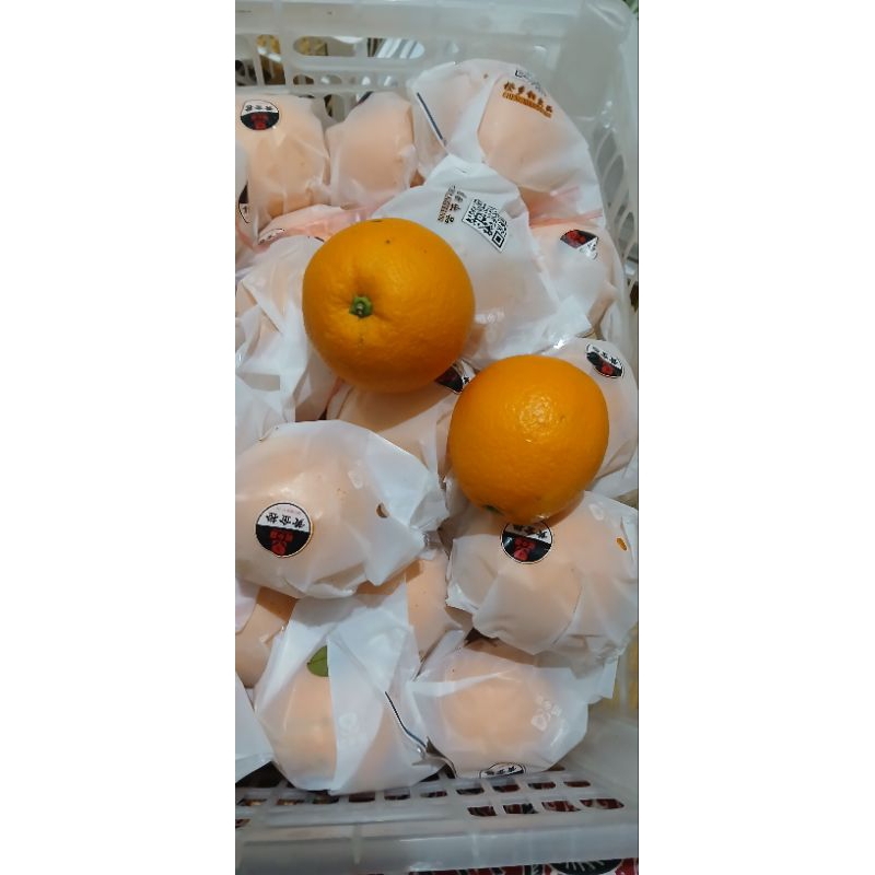 

Sunkist Navel 1 keranjang 13kg
