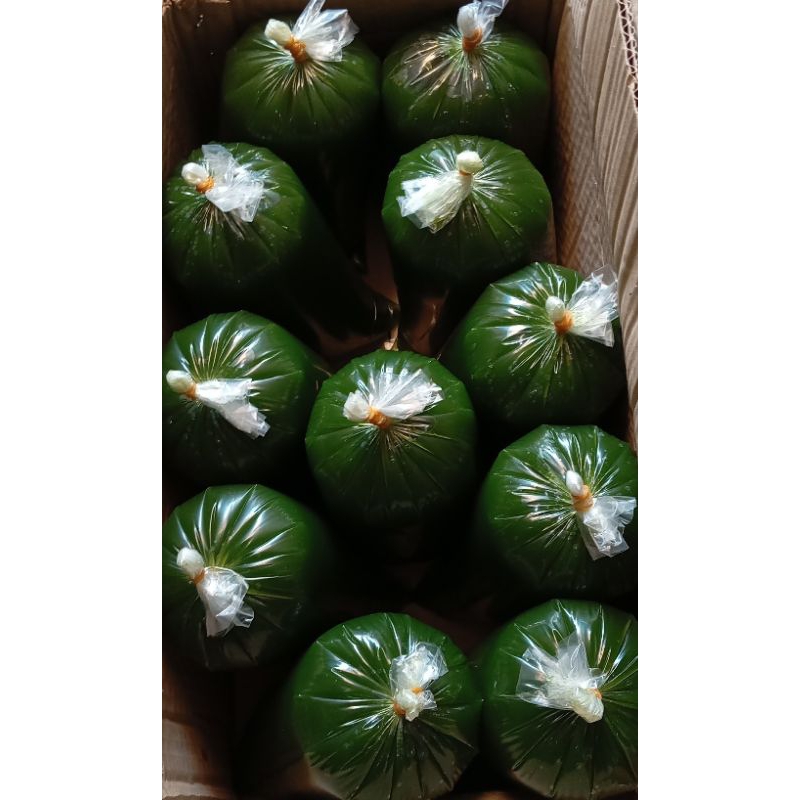 

Cincau hijau organik kemasan plastik 1kg + gula dan santan