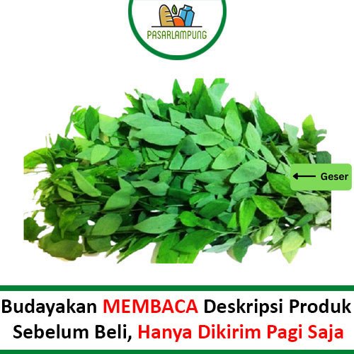 

Daun Katuk Segar Per Ikat Pasar Lampung