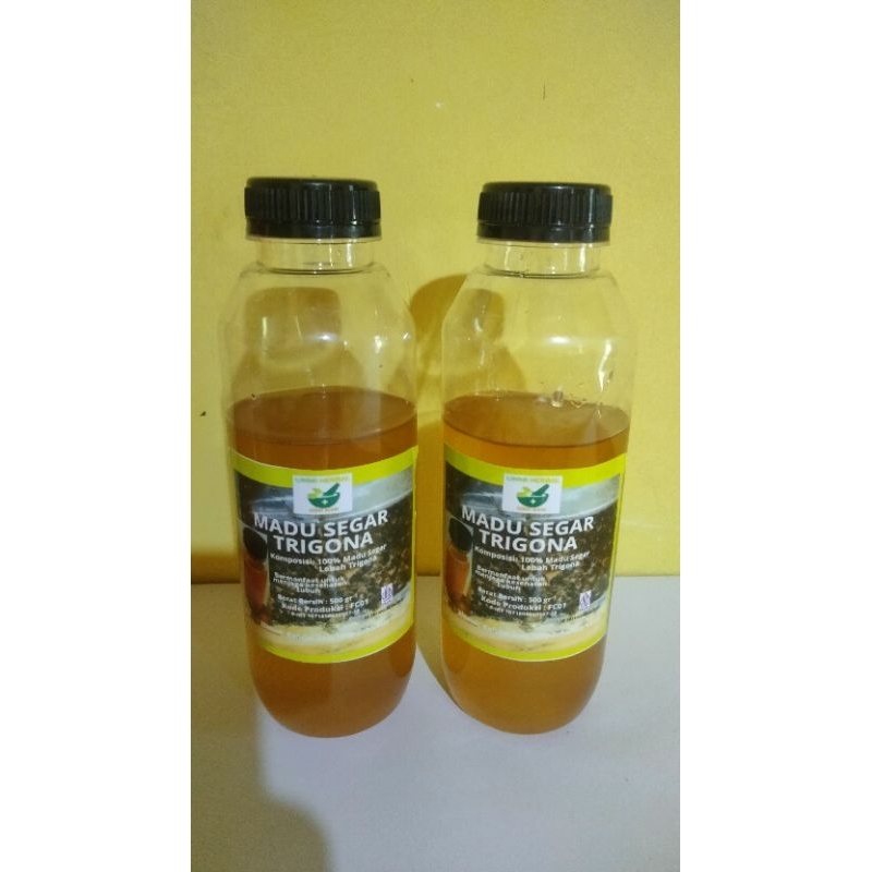 

Madu Segar trigona 500 gr