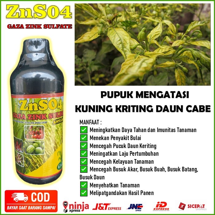 (langsung kirim) Zns04 Zink Sulfate anti jamur pupuk organik atasi virus gemini Cabe - obat semprot 