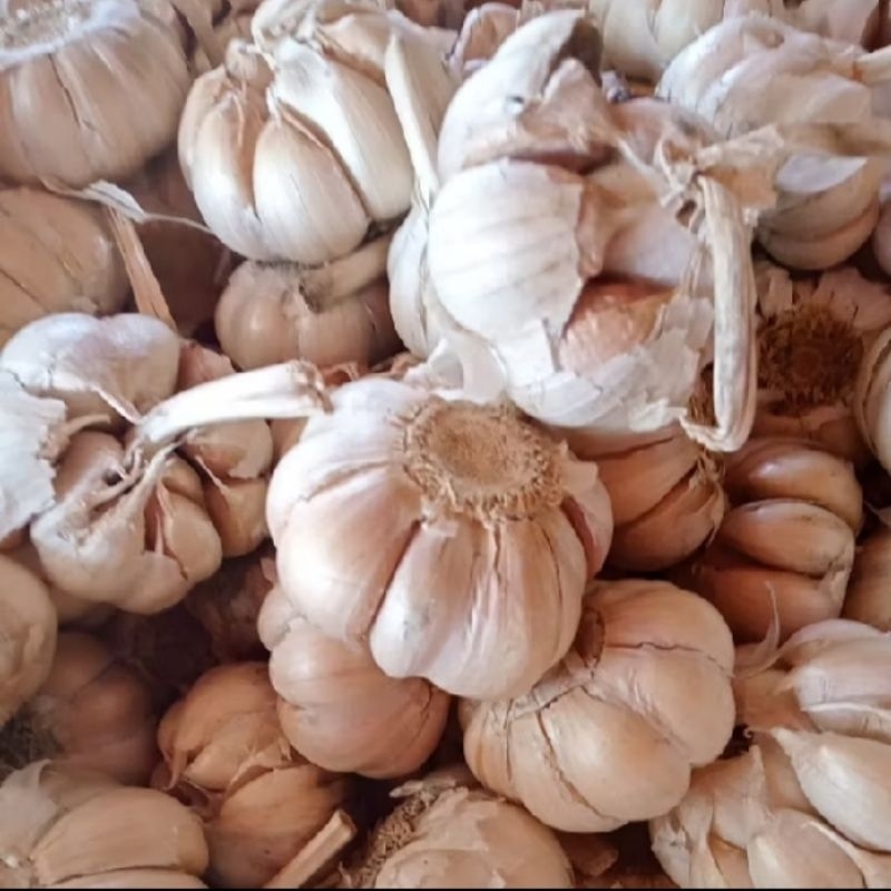 

Bawang Putih Random(kecil,sedang,besar)campur