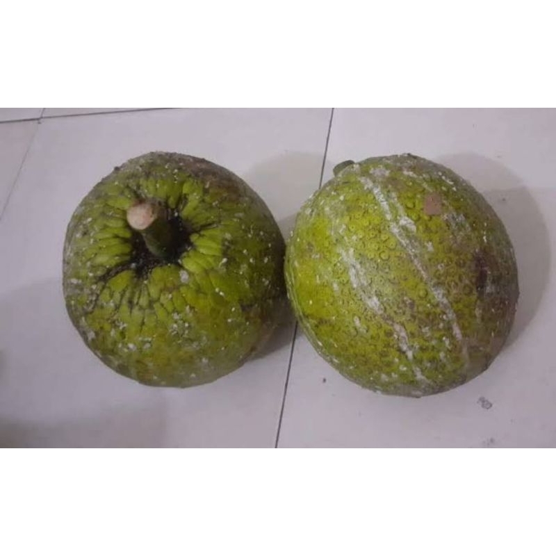 

Sukun