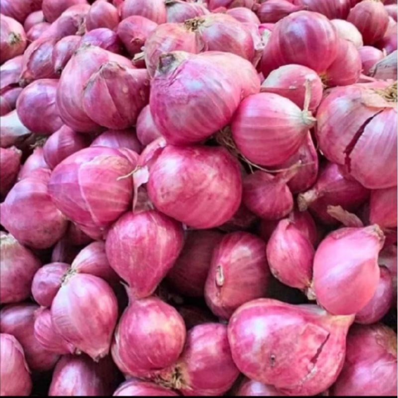 

Bawang merah lokal 1kg Garut rempah / bumbu /pelengkap masakan makanan sayuran