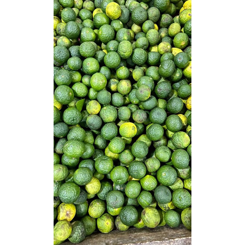 

Jeruk Limau | Jeruk limo | Jeruk Sambel 250g-1kg [instan]
