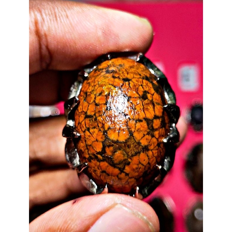 batu akik Jamal ati ayam motif unik