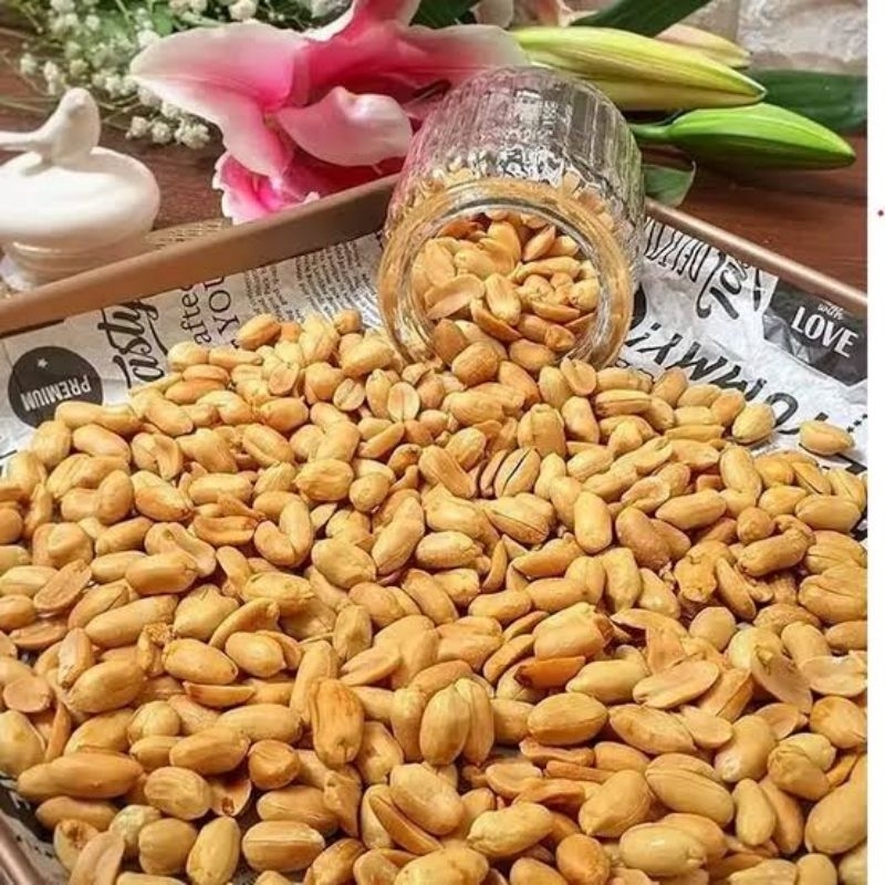 

kacang bawang premium
