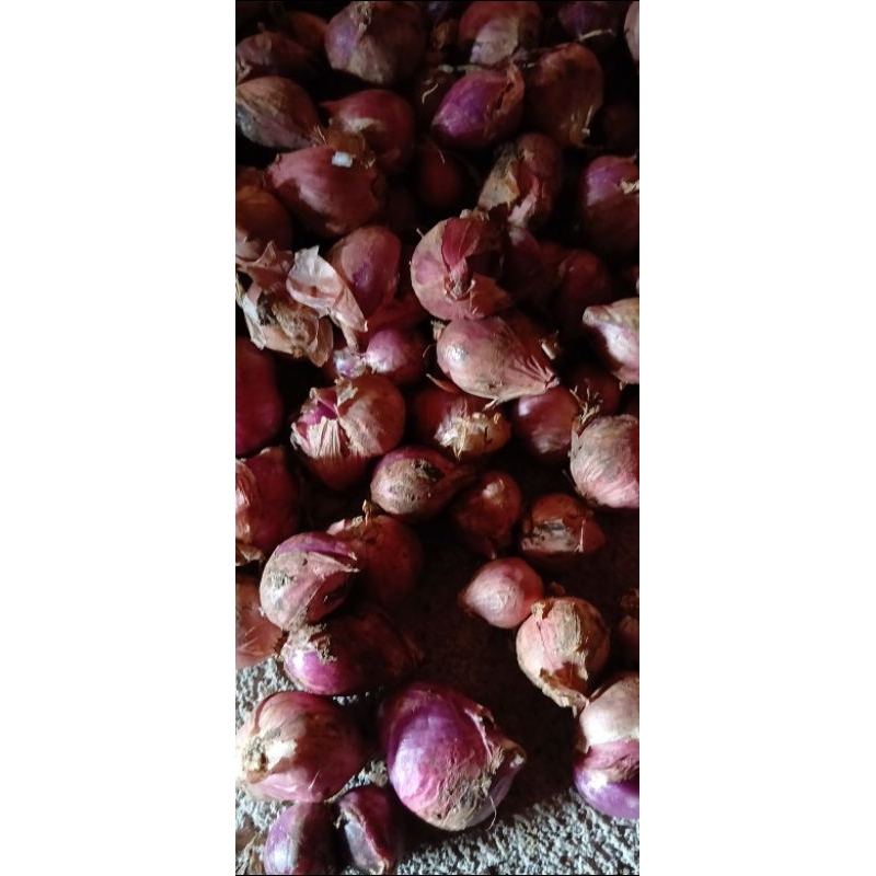 

Bawang Merah 1kg