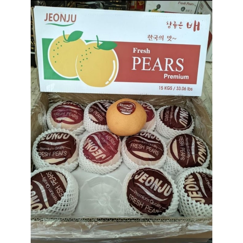 

Pir singo korea 1 buah